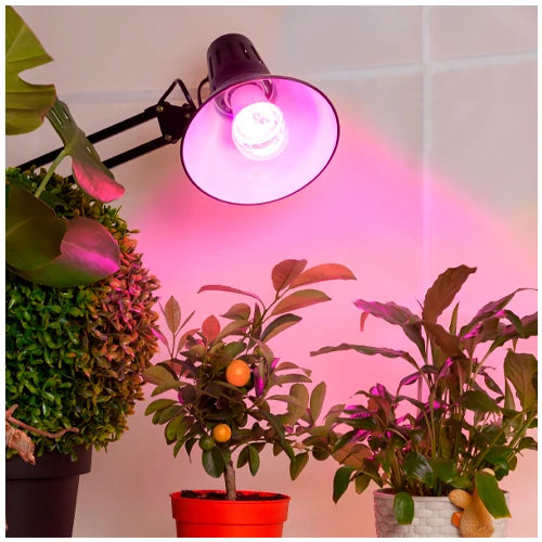 VISIONAL LED-kasvilamppu | E27 | 15W | 4000K | IP20