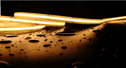 VISIONAL LED-nauha sauaan | 5m/12mm | 12W | 12V | 980lm/m | 6000K | IP68